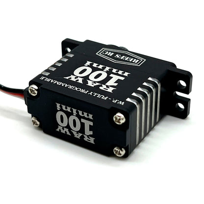 Reef's RC | RAW 100 Mini Black Servo Programmable | MPN: REEFS135